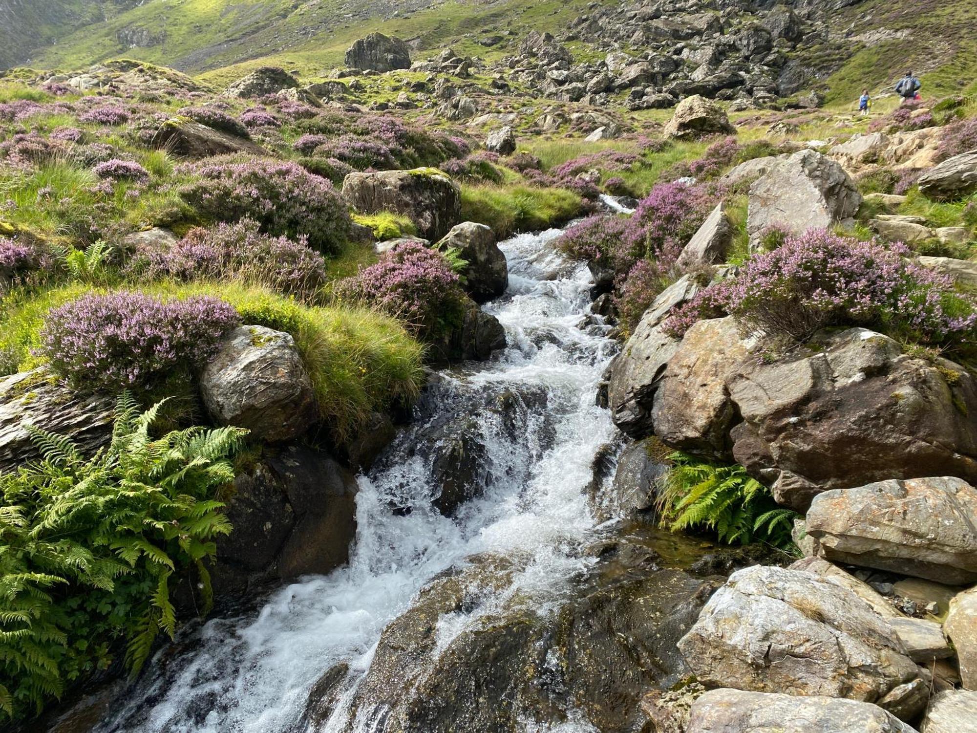 PenmachnoPen Y Cwm别墅 外观 照片
